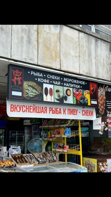 Пицунда_Лето 2025 года август_сентябрь