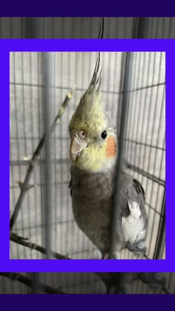 Copy_F5D8B2F3-A89F-402F-9495-BE98AC291F41