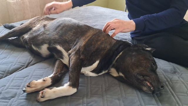 Личный массажист# Массажный салон открыт# Кайфушки😍😀