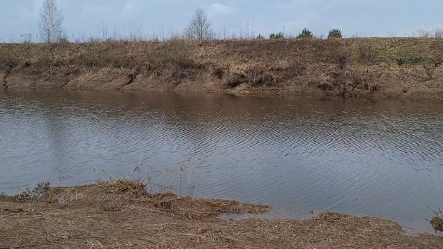 Короткая поездка в деревню
