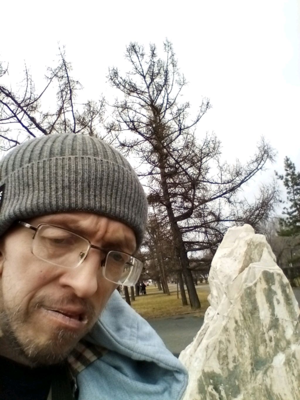 путешествие с кошкой Кристиной