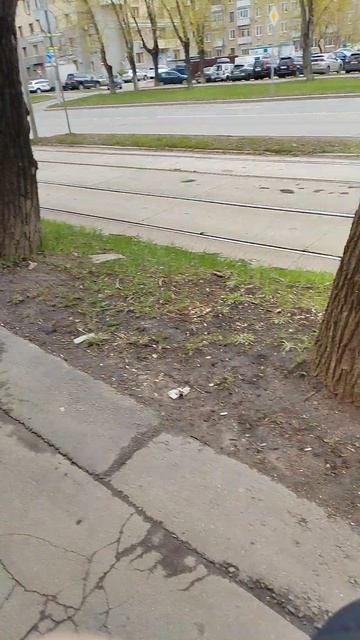 VID_20260420_101754.mp4