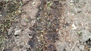 Моя жизнь на пенсии