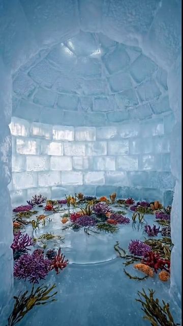 дом из льда