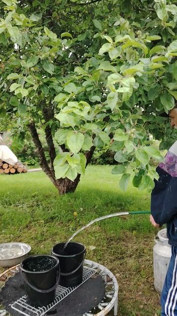 За Водой ©20250706