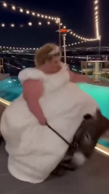 Ослик не выдержал.

#юмор #приколы