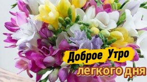 С добрым утром: открытки с добрым утром и музыкальные пожелания | Домохозяйка