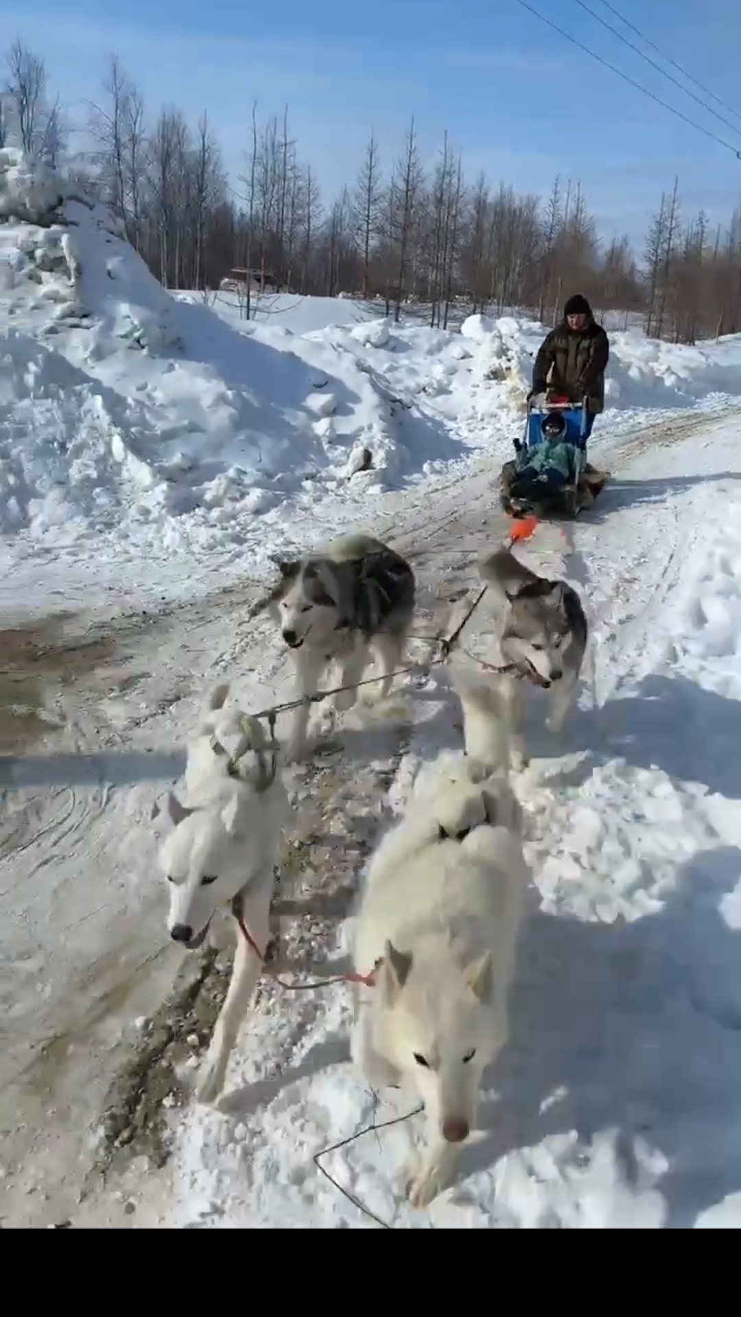 Семейное выездное мероприятие «СемьЯмбург» в этнопарке «Душа Ямала»