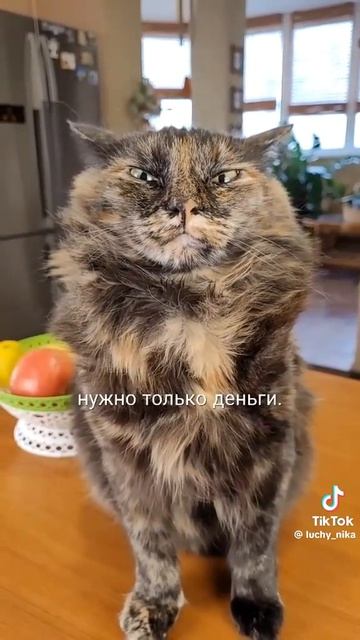 8c697167-6db5-423c-96d0-b950e2ba8eb5-1_all_11417.mp4