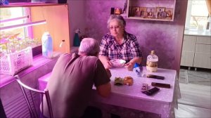 20.04.26. Пообедал сам, покорми кошек😊Заглянула в теплицу. Убрала лохмы на клумбе.