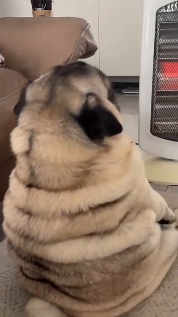 Обогрев складок🥰))