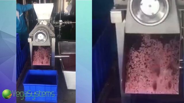 Протирочная машина (соковыжималка) для перетирания фруктов, овощей и ягод Вега/Vega JMIX 500