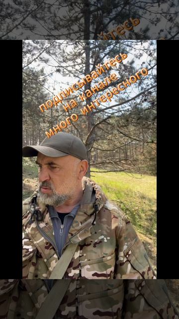 Грибы весной 2026 Крым Керчь