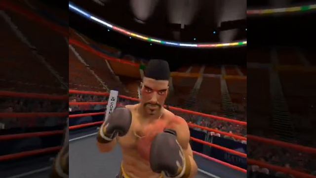 VR Boxing