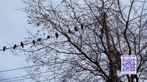 Прохладная и ветреная погода сохранится на территории Вологодской области