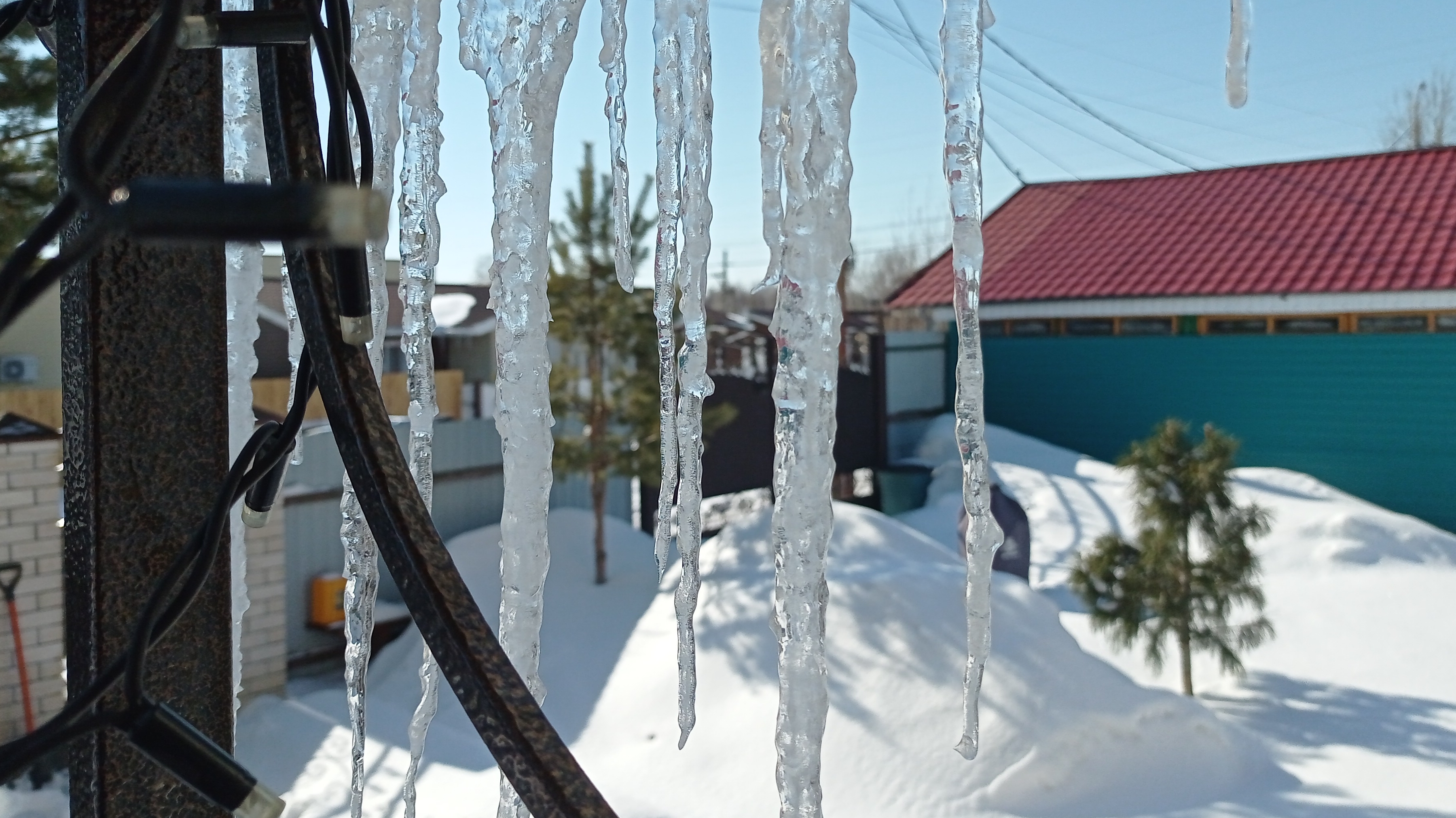 жизнь на крайнем севере/опять снег/куры/бассейн