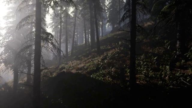 Кондор в полёте. Эпическая песня. Анатолий Вешниц на стихи Александра Савостьянова