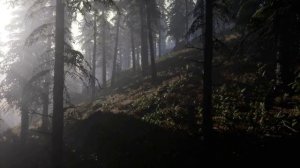 Кондор в полёте. Эпическая песня. Анатолий Вешниц на стихи Александра Савостьянова