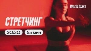 СТРЕТЧИНГ с Олегом Красиным | 20 апреля 2026 | Онлайн-тренировки World Class