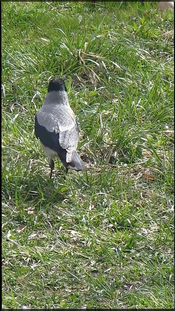 Начало дня - это поиск еды...