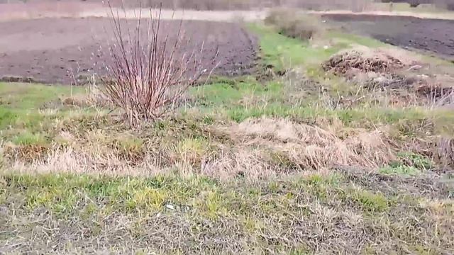 зем.участок Голофеевка.mp4