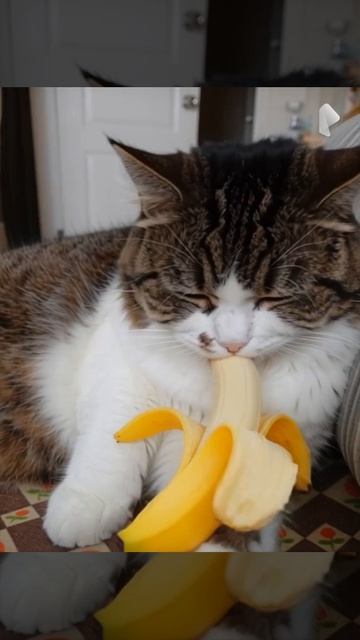 Кети кушает банан