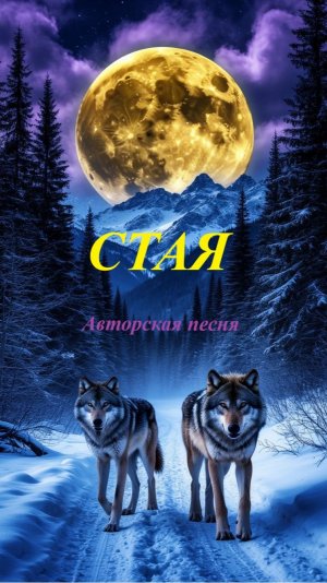 Стая