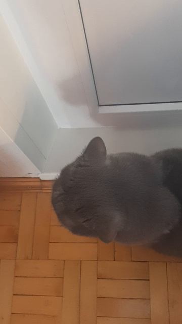 Тебе сказали: