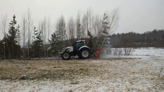 Мульчер Valtra. Измельчитель кустарников и деревьев в действии.