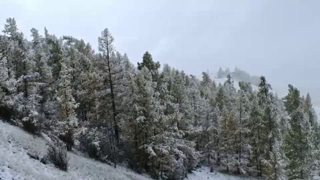 Video-20-04-26-06-10