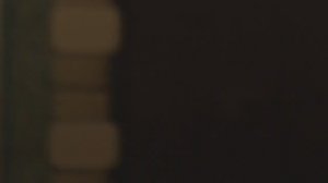 КРАТКАЯ ИНФОРМАЦИЯ О ТОМ КАК МОЖНО ПОПАСТЬ В НАШУ КОМАНДУ ! 😉