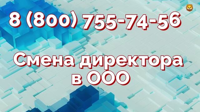 Смена директора ооо пошагово в 2026 году