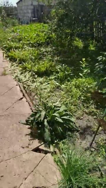 26 июля 2022 г.