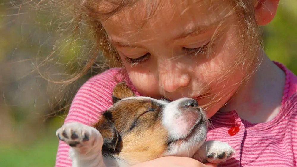 УРОКИ ДОБРОТЫ. Что влечет за собой жестокое обращение с животными с Божественной точки зрения