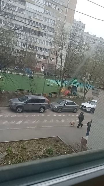 VID_20260420_112519.mp4