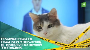 Челябинцы написали «Тотальный диктант» в окружении котиков