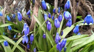 Соскучились?Наши новости. 20-04-2026