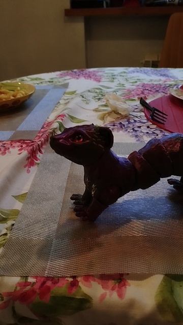 Мой талисман харя😜🩷🩷