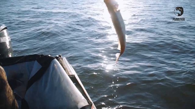 Наше лето - 2026. Промо. Канал Рыболов