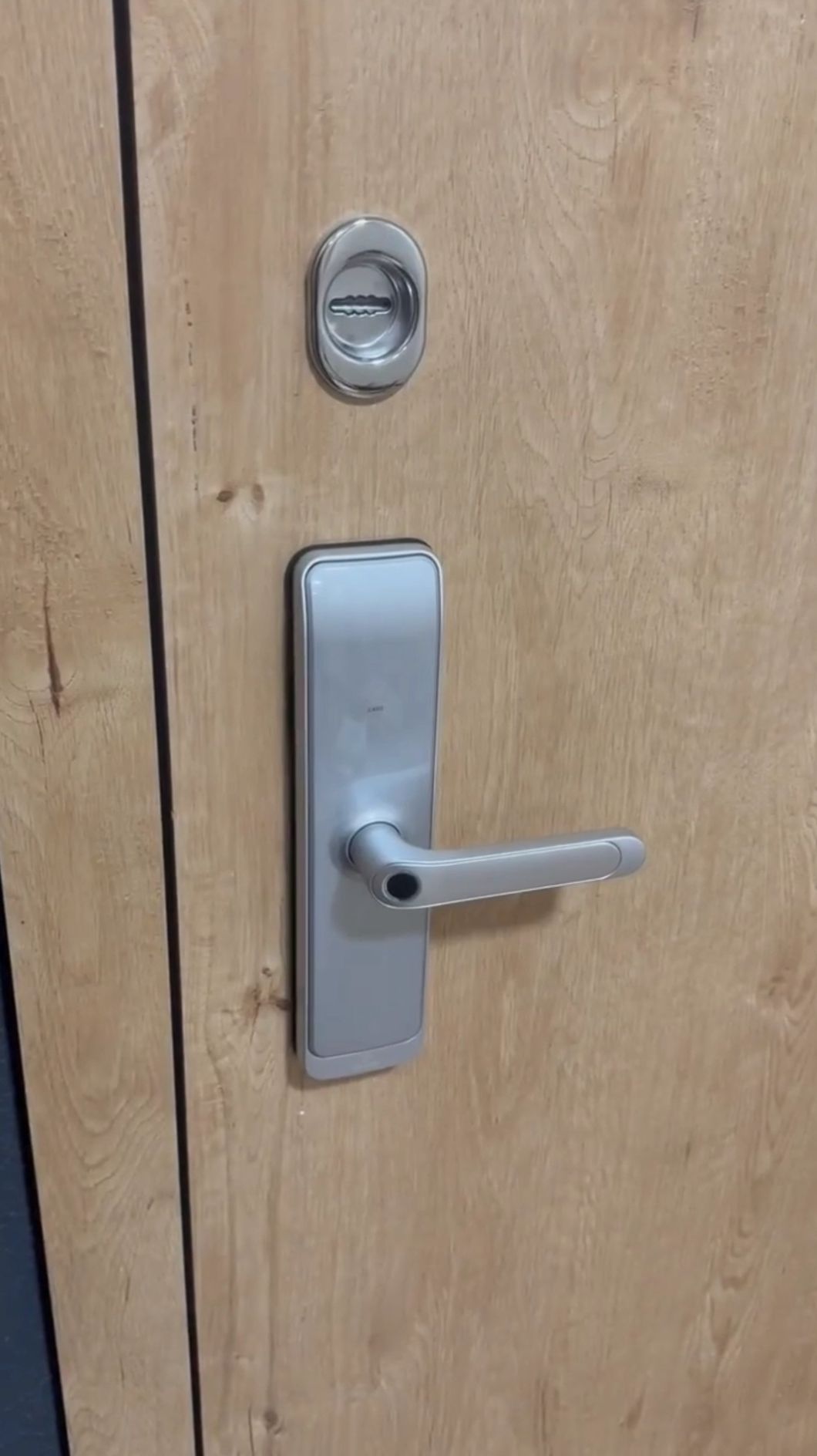 Установка электронного замка Dircode Sciener M701. Санкт-Петербург, ЖК Приморский квартал