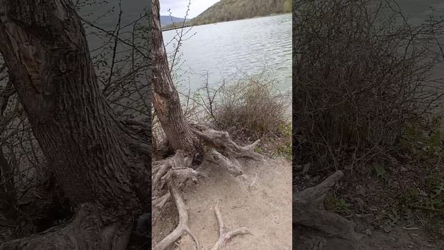 Кипарисовое озеро Сукко и рука протянутая. 20 Апреля 2026 года. Репортаж Светланы Тихоновны.