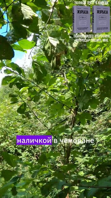 Про доверие и экспертизу