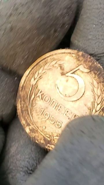 Золото партии. Коп удался.