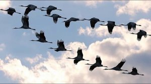 1+. Ожидание. Автор Владимир Кобец