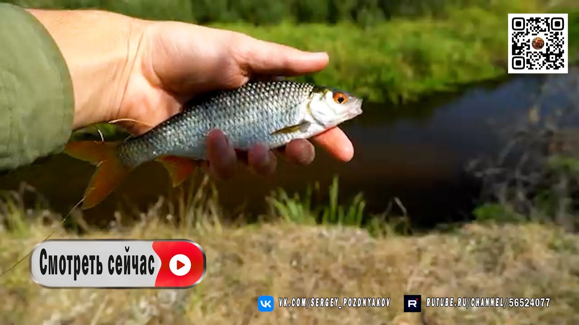 Хлеб как наживка. Результаты превзошли все ожидания! 🍞 🎣