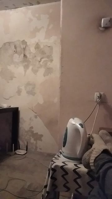 у них есть сознание