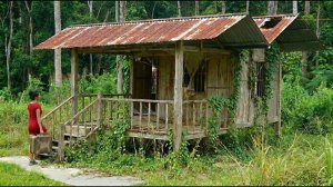 Молодая женщина живет и строит небольшую хижину в лесу