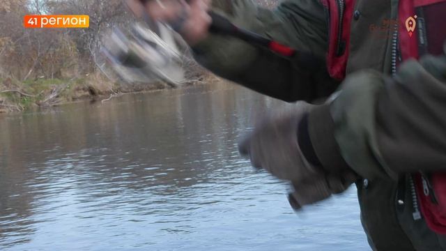 Камчатка  РыбЛаг Большие лососи