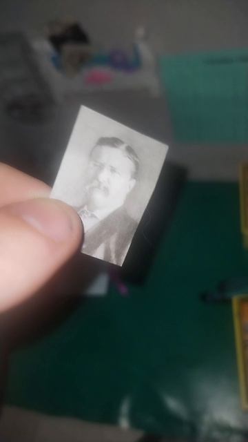 Что появилось в кукольной школе за апрель 2026 год