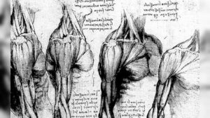 Микеланджело оставил нам предупреждение. Что зашифровано на потолке Сикстинской капеллы_